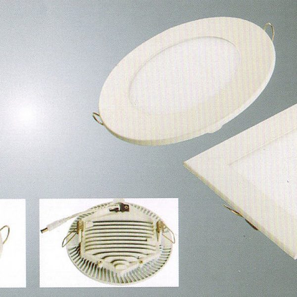 LED Downlight02